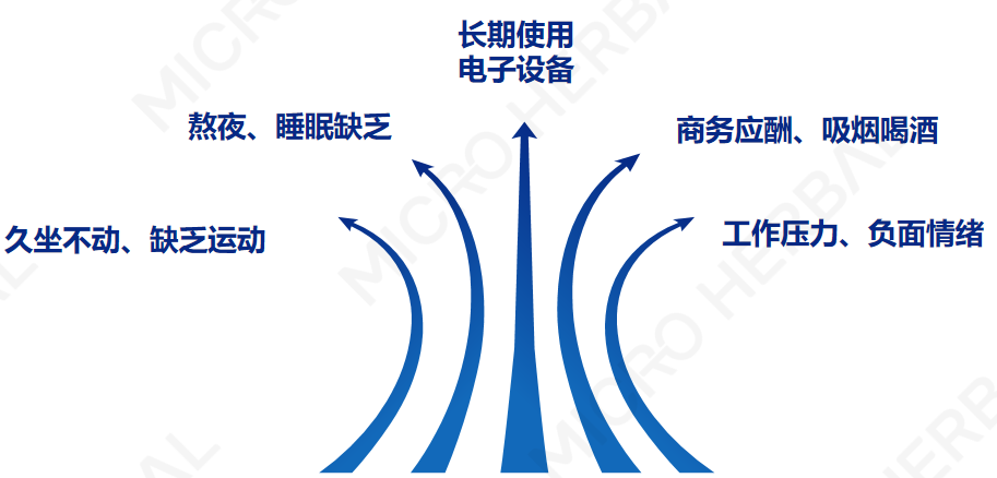 尊龙凯时人生就得博z6com·(中国)官网