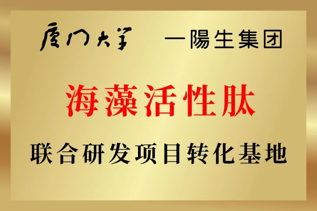 尊龙凯时人生就得博z6com·(中国)官网